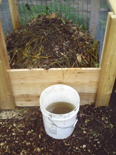 water with the compost